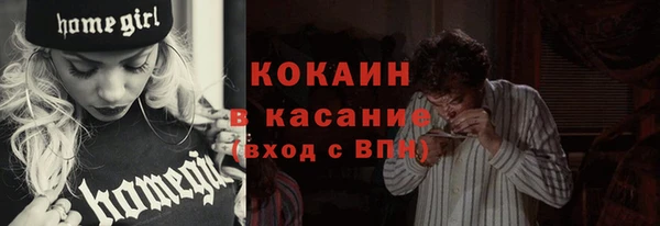 прущие грибы Балабаново