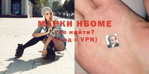 прущие грибы Балабаново